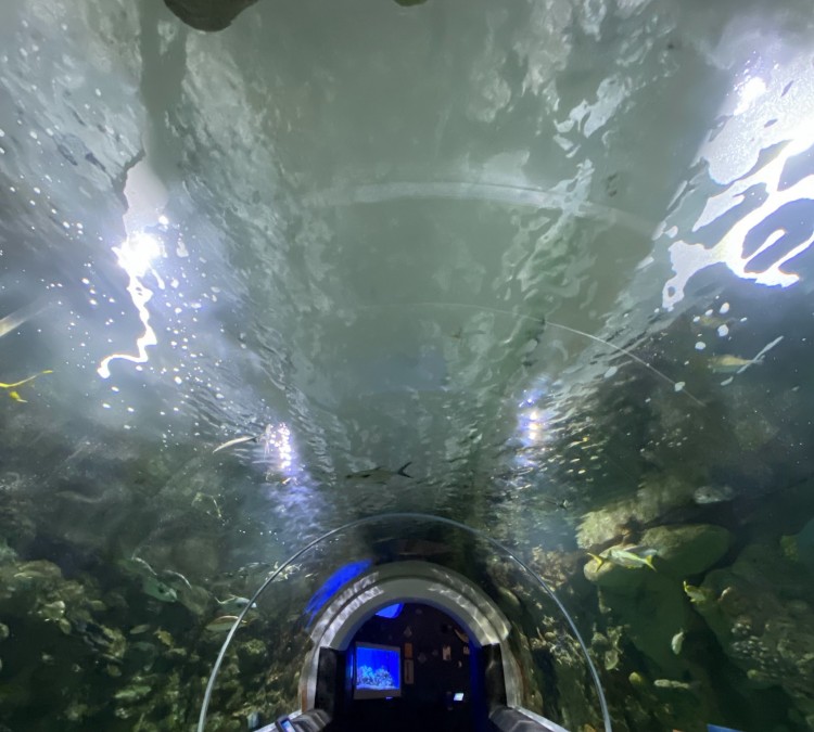 Reiman Aquarium (Milwaukee,&nbspWI)